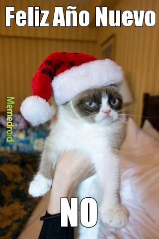 grumpy cat año nuevo meme